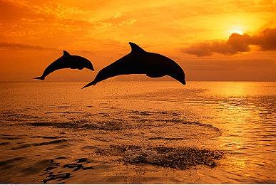 蜗牛游戏公布游戏 《颂钟长鸣》抢先体验版本发布日期