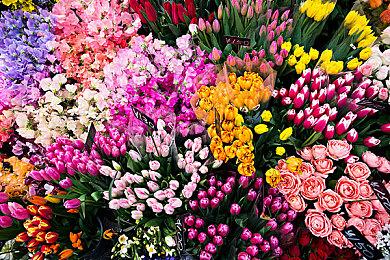 游戏会社SUCCESS社长76岁高龄柔道获胜 官方游戏打折庆祝